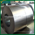 Prepainted Galvanized Steel Coil for household appliance